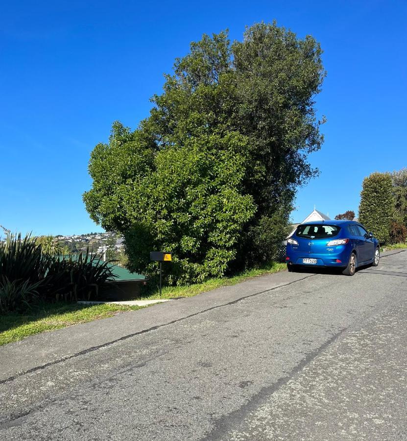 Fully Renovated Hillside Apartment Close To City Christchurch Exteriör bild